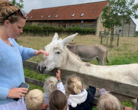 hanne maakt kennis met de ezel
