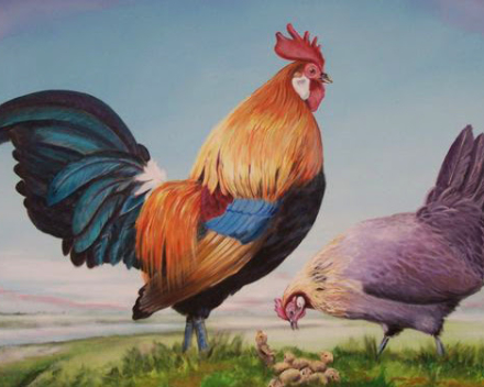 Kleuterkamp °2019